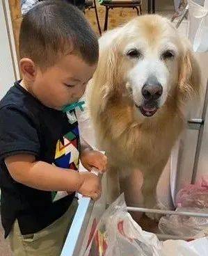 8c7dbb98db324ef38fba6fe83a66eae9.jpeg