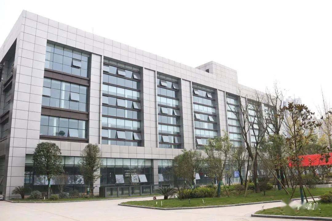 南充市高坪区2020年GDP_南充市高坪区规划图