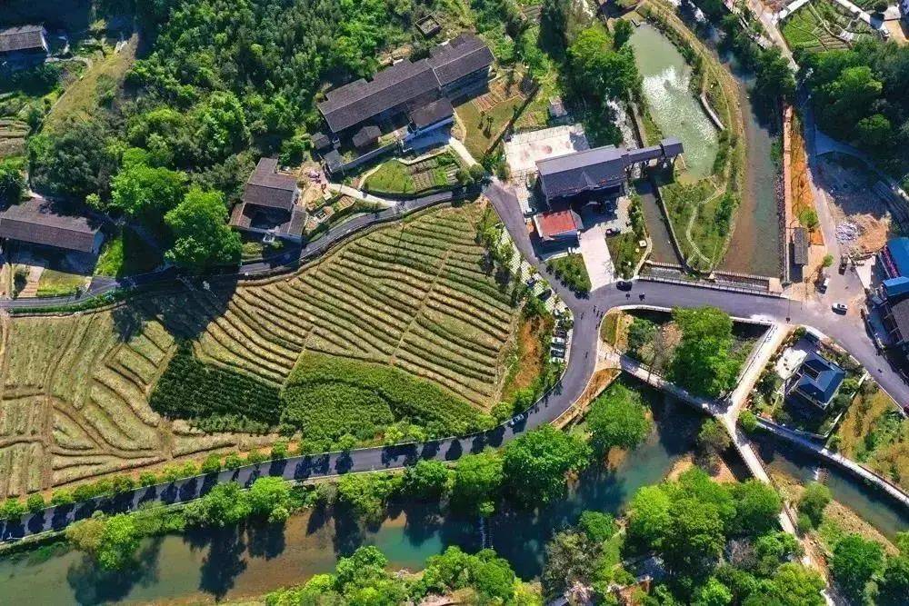 福建各市2020年前5个_福建奔驰威霆2020款