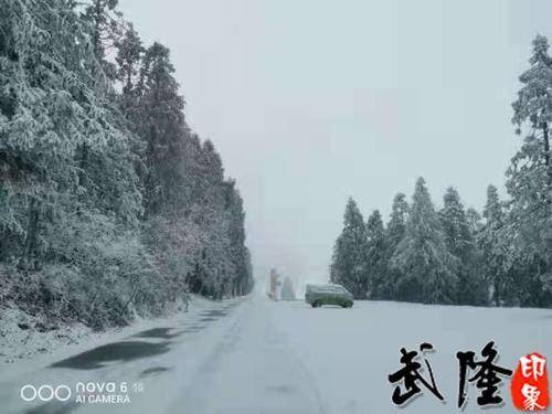 走，玩雪去！武隆仙女山迎来今冬第一场大雪