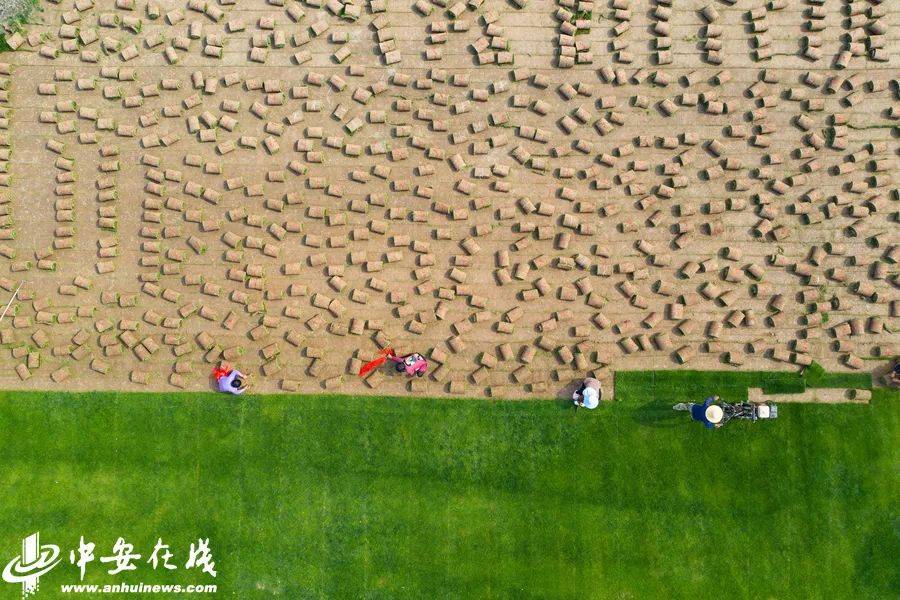 五河经济总量_五河琴里(2)