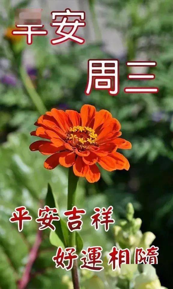 12月2日周三清晨早上好问候祝福动态表情图片 12月最新早安问候祝福