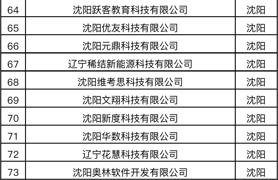 沈阳seo排名 搜狐网