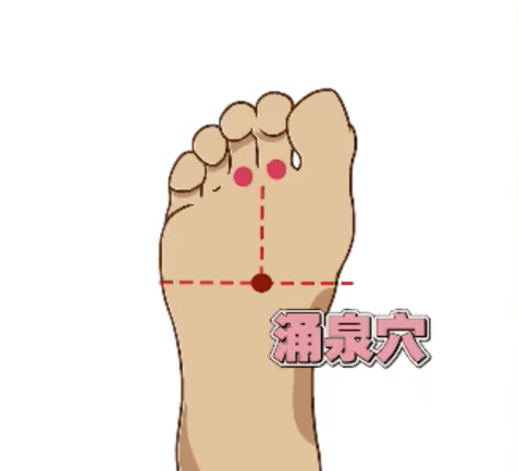 1a18e387abf74ed5b5cc495acd4e5ba7.png