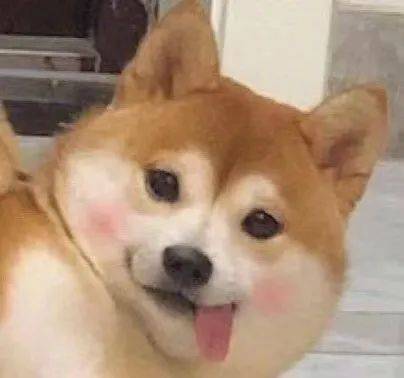 2766ac5d2c7f45a190e49f949b290e04.jpeg