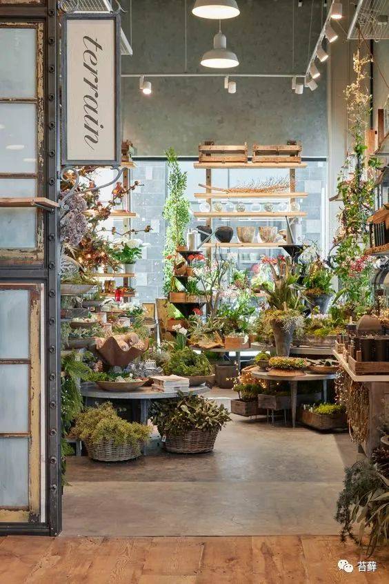 开一间花店,治愈人生