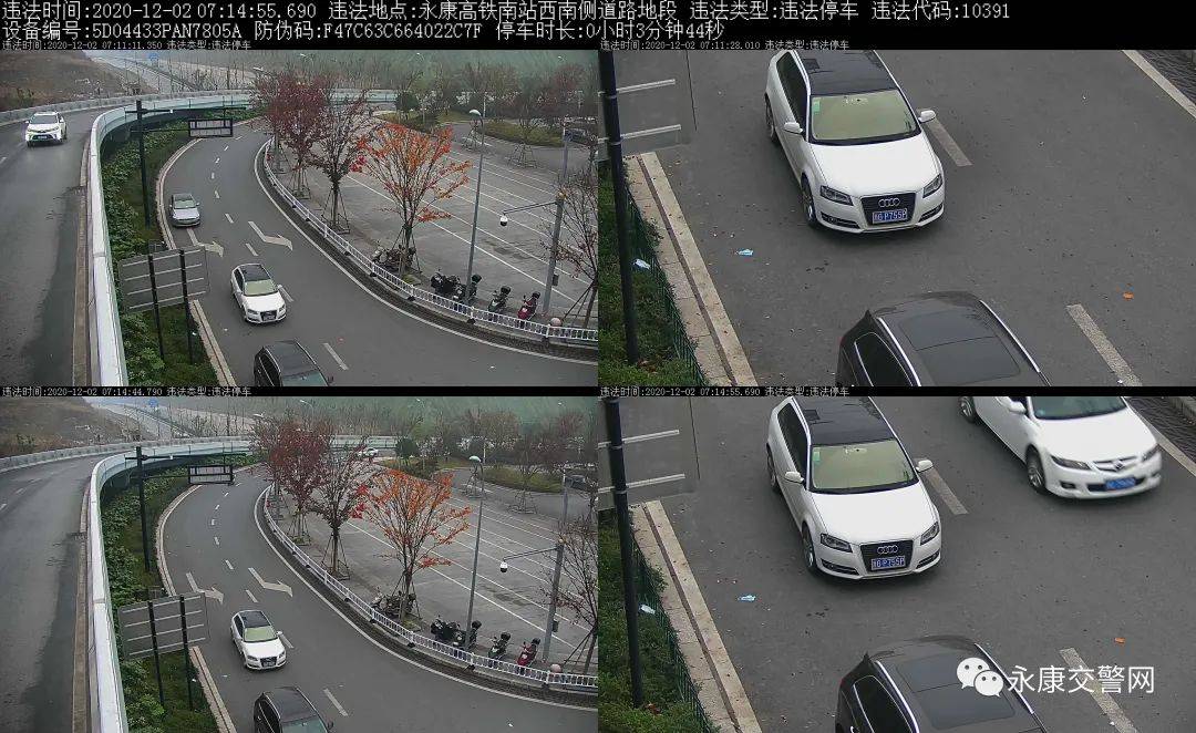 2020年浙江省地级市g_2020浙江省普通发票(3)