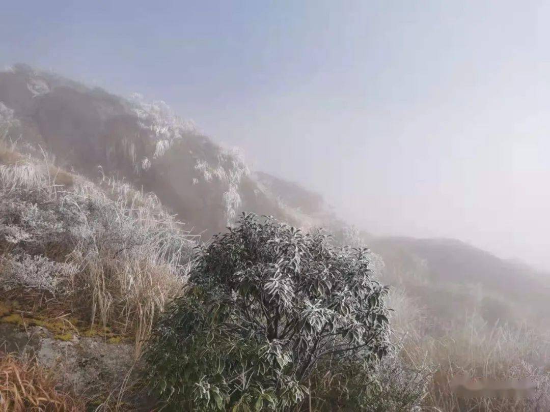 建宁金铙山迎来了2020年冬天第一场雾凇,银装素裹美如画!_手机搜狐网