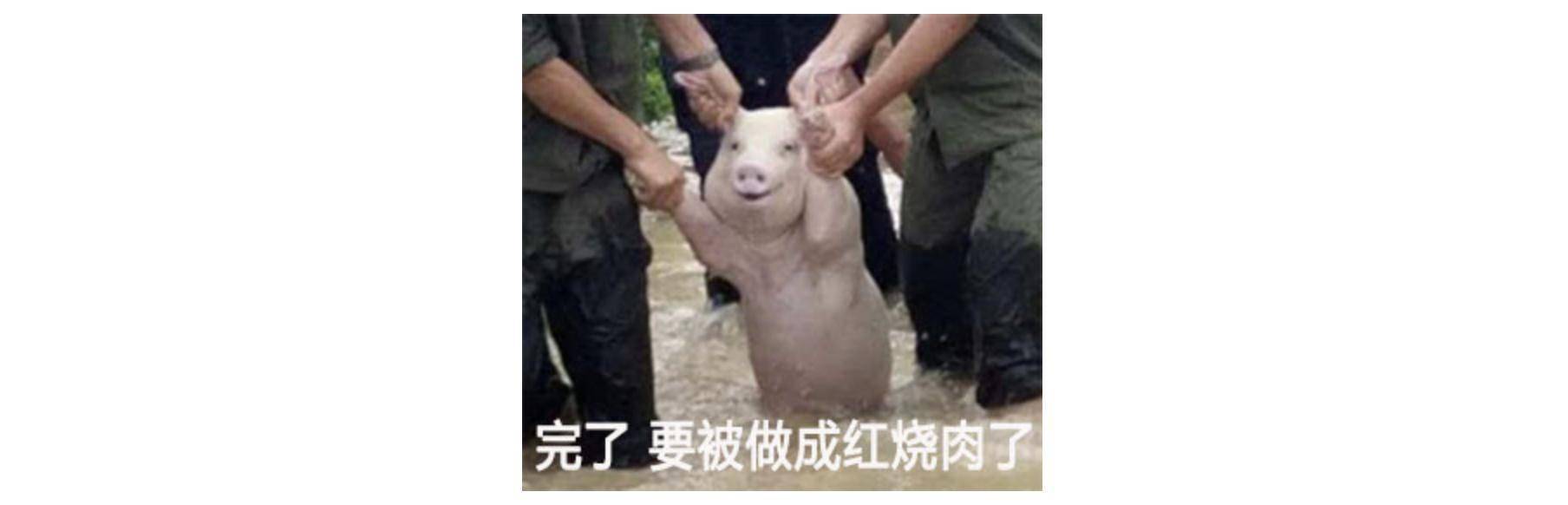 招人_招人去哪个平台_招人文案