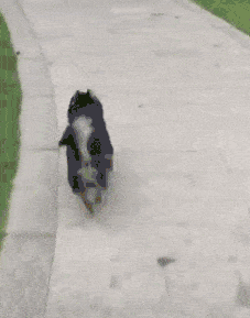 6da052105cbf488fbf1b91f749050829.gif