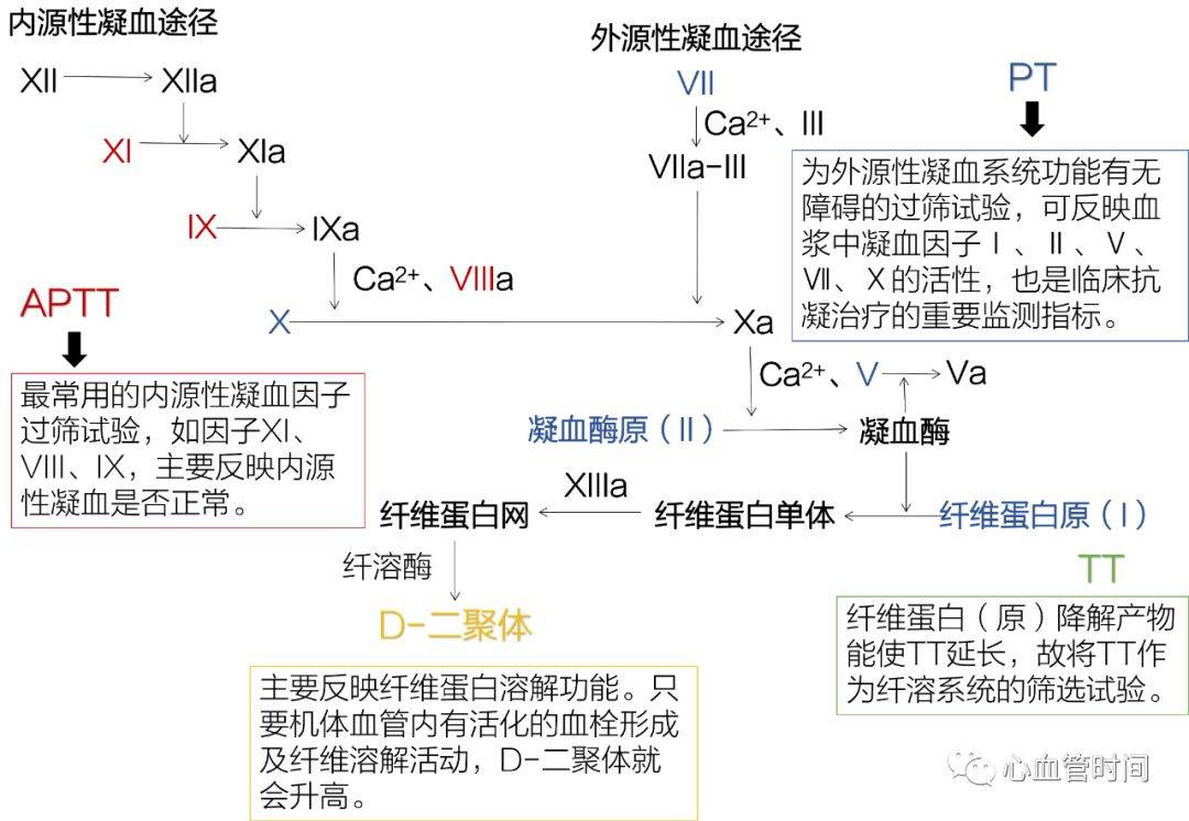 一图牢记:凝血途径及相应检验指标意义