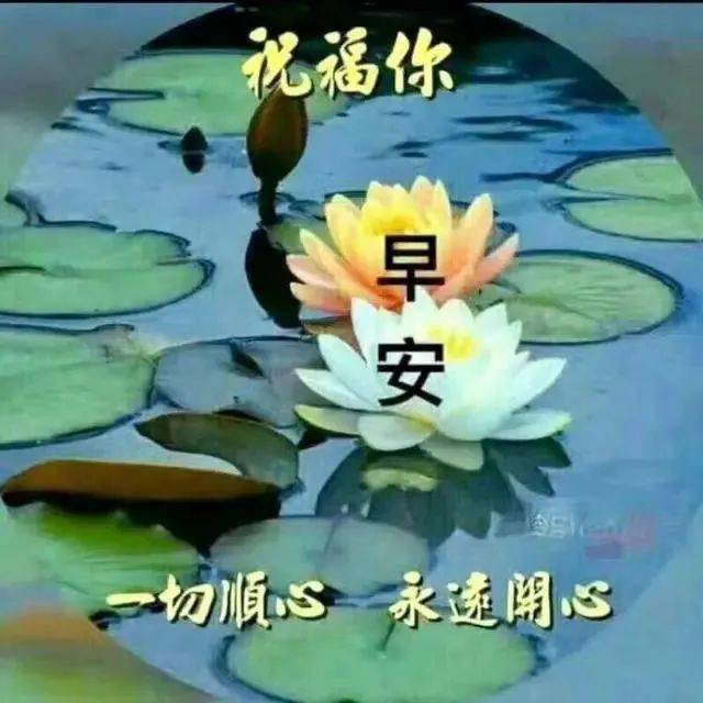 温馨的冬天大家早上好问候语图片,早上好免打字图片带祝福语精选