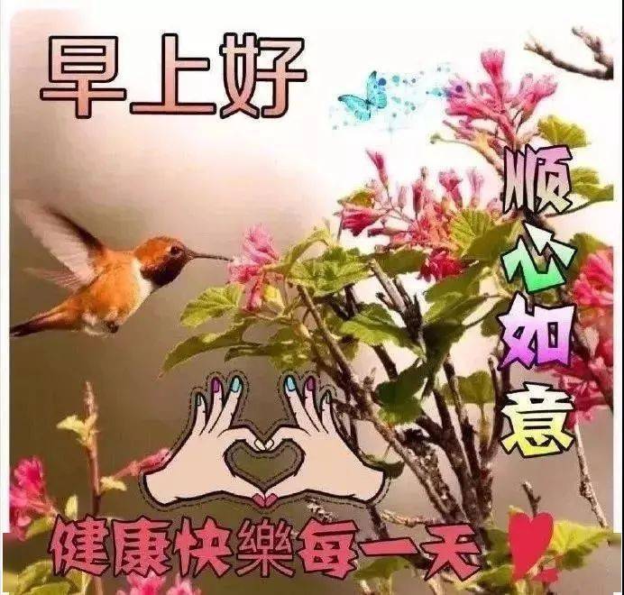 12月6日周日早上好,送你一心一意的祝福,祝你新的一天