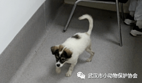 b4a591621e0c49a2829b6e8b18b8433e.png