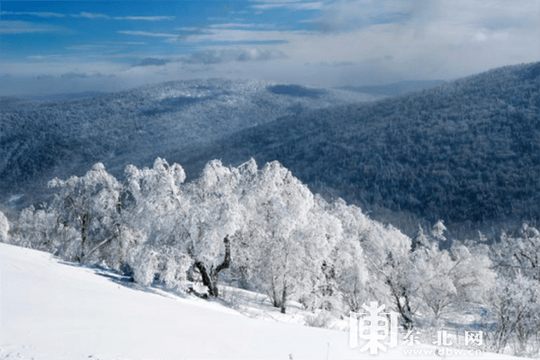 东北的冬丨黑龙江5大冰雪旅游景区打卡