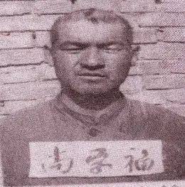 杨坊村人口_绯村剑心真人
