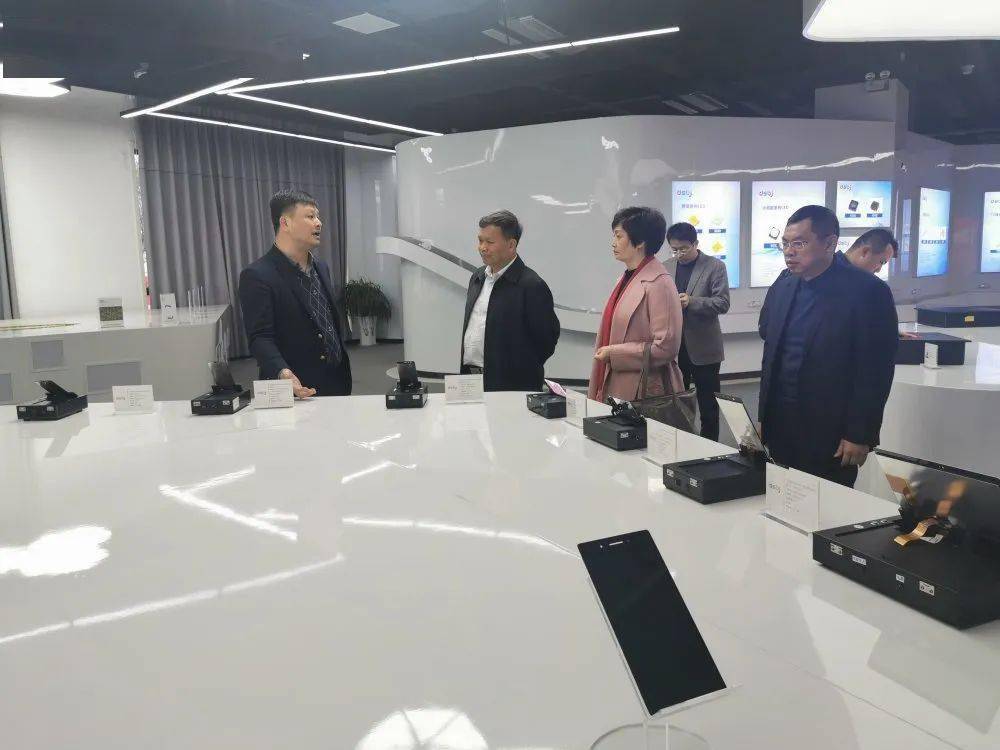 11月27日,刘勇同志率区市领导曹国俊,江树华,赖子安及市商务局负责