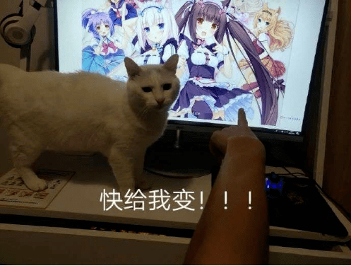 steam梗知识:快给我变!猫娘