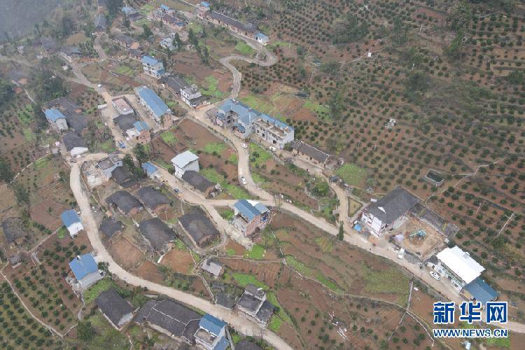 禹州山货乡路庄村gdp_山东临清市八岔路镇路庄村涉嫌建造 小产权房(2)