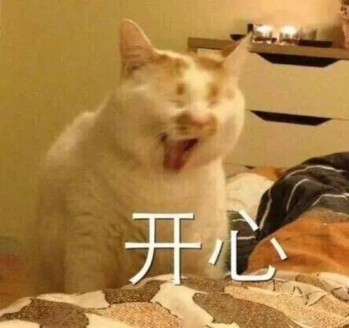 c555e481960c40d3b493434b4fbeb523.jpeg
