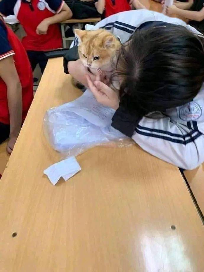 怎么在学校不无聊 e1bb1ef664f9478e8b81d5f92437646f.jpeg