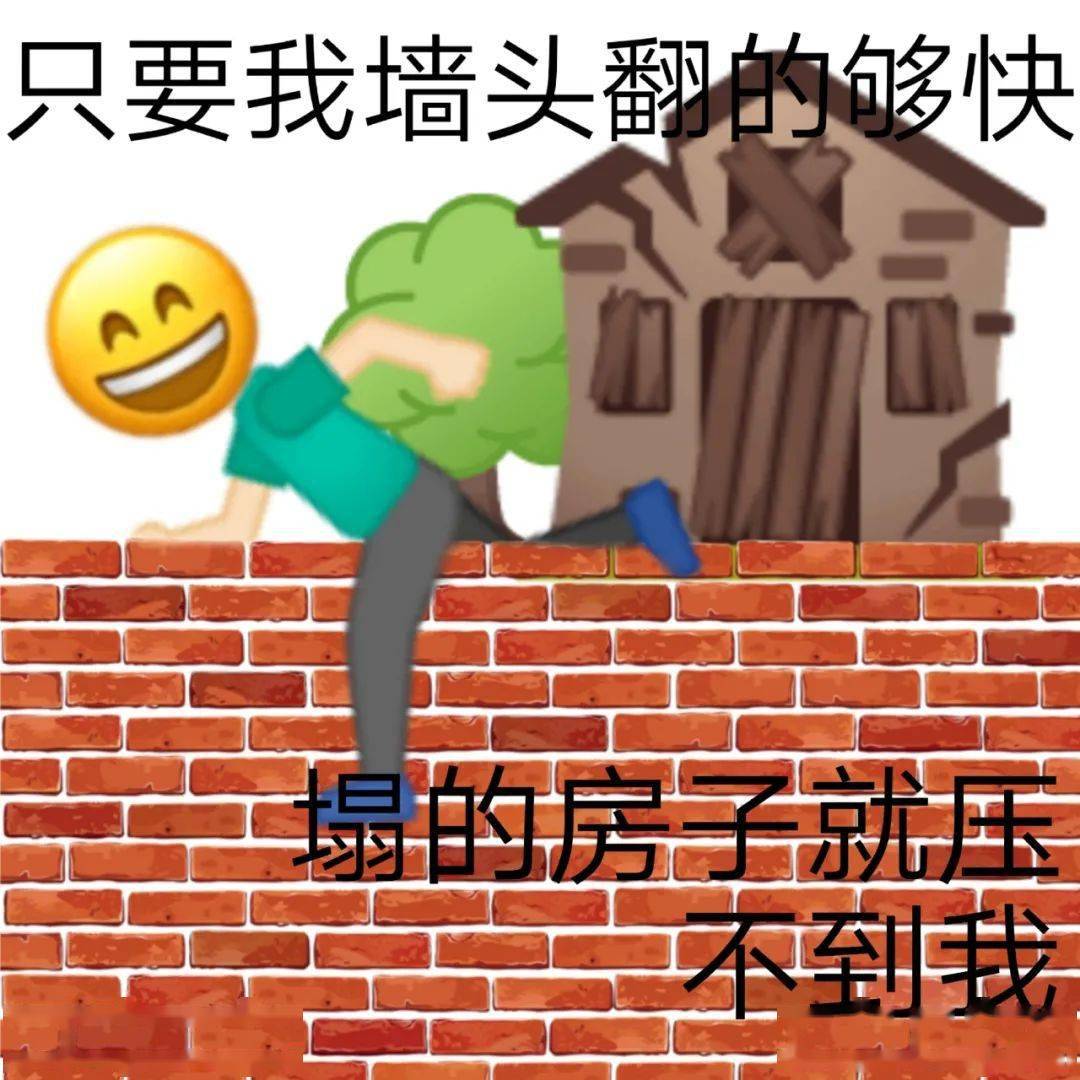 塌房专用表情包