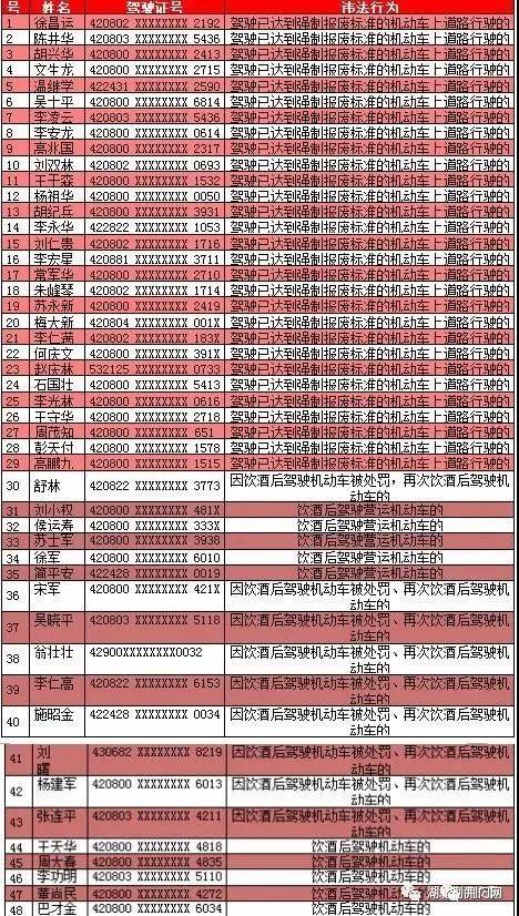 警察与人口比例标准_我国民族人口数量比例