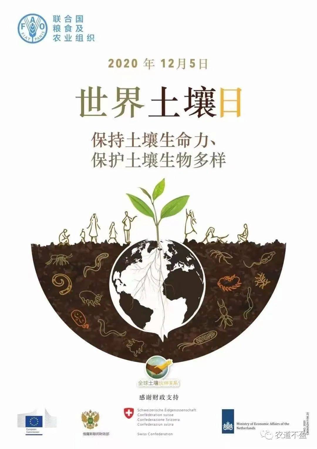 什么是生命的基础健康的基石 827cde2c7c4240dfb7f0dbeadb796951.jpeg