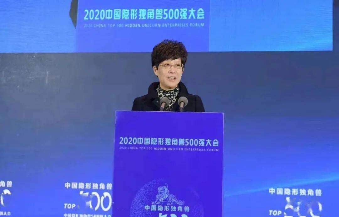 2020年中国500强排名_制造业互联网同场排名宇视入选中国新经济500强
