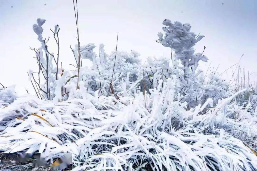 广东下雪了!最低跌破0!