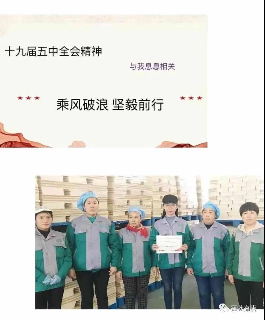 什么蛾什么火的成语_绿色的蛾叫什么(3)