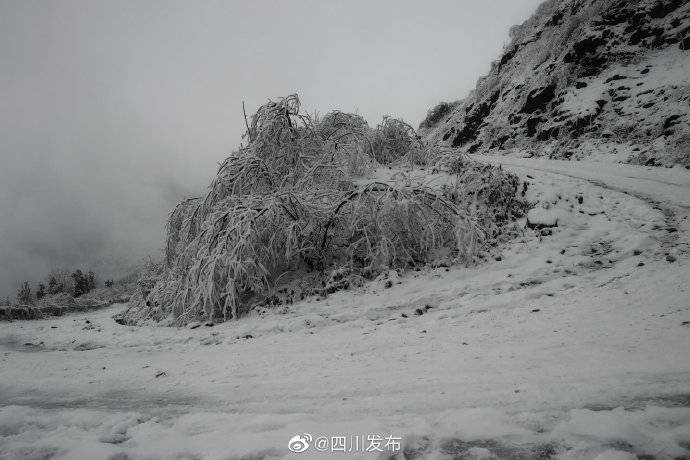 银装素裹 绵阳北川下雪啦