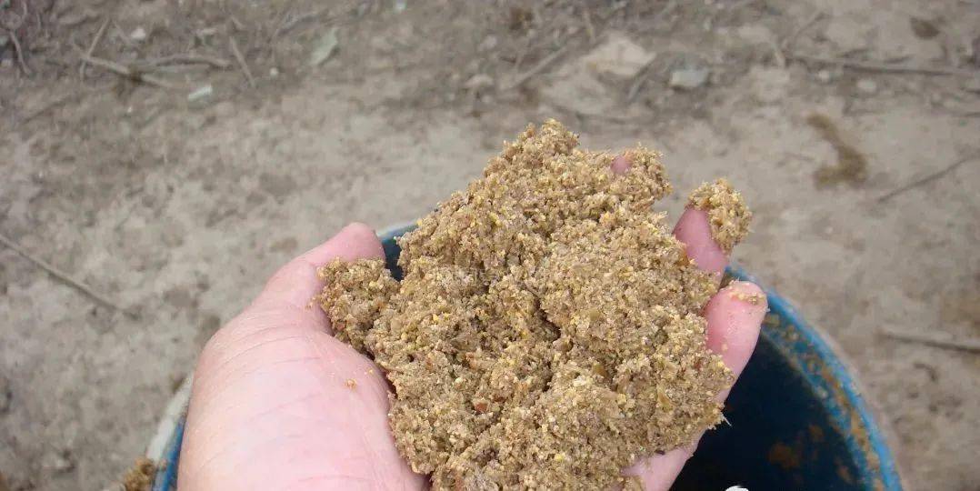 王淑贤《糠窝窝》:一个春末夏初的周日,我上山打了一背篓猪草,太阳明