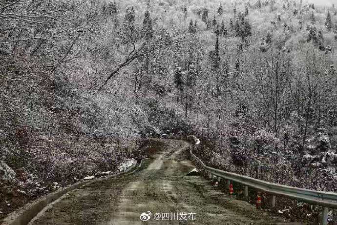 银装素裹 绵阳北川下雪啦