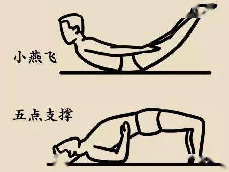 小贴士 :久坐的上班族要注意腰背肌锻炼,锻炼方式有小燕飞,五点支撑