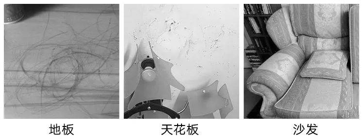 吸力|澎湃好物 |后悔没早买！有它轻松清洁一个家