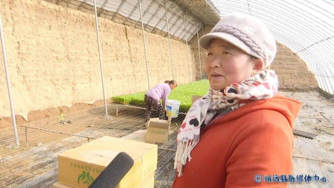 冬季大KAIYUN棚育苗忙 播种丰收新希望(图5)