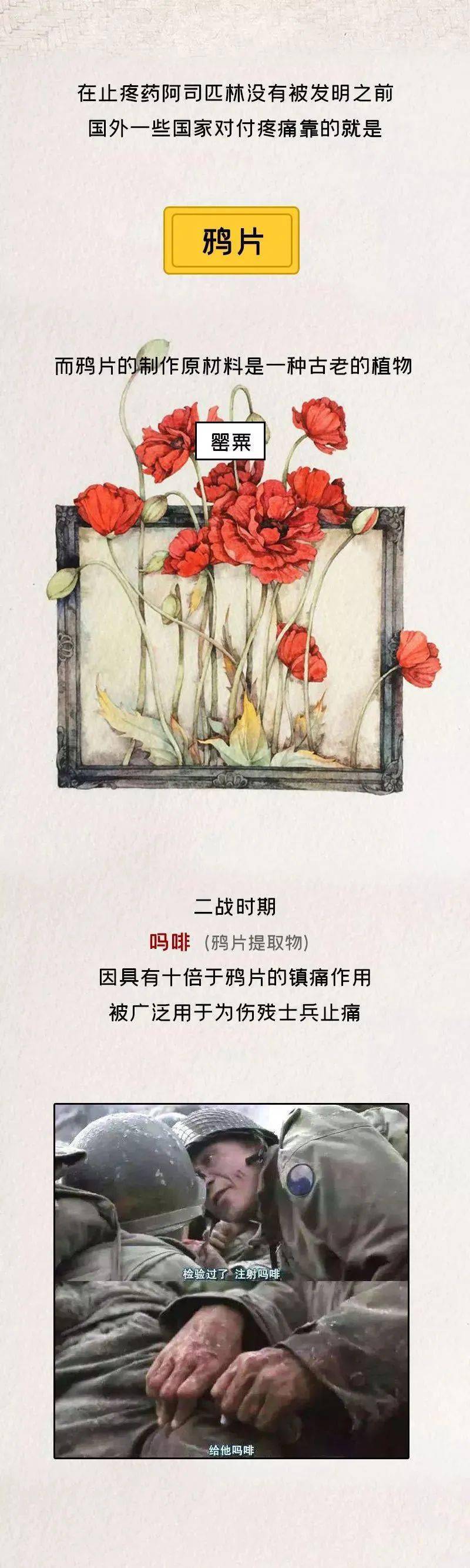 图说毒品演变史,人生不"毒"行