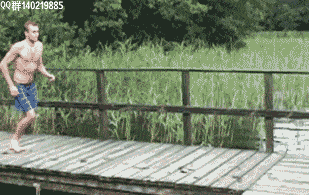 祝福大家每天都 哈哈哈太搞笑了!这么有意思的动图,看完心情大好!