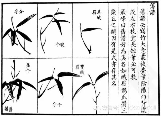 竹子简谱画_竹子画(3)