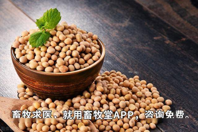 美豆粕近日也是弱势下跌,受此影响内盘豆粕早盘大幅低开后承压震荡