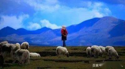 动态曲谱可可托海的牧羊人_可可托海的牧羊人曲谱(3)
