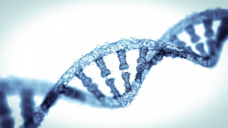 隐身|DNA将取代条形码二维码？科学家研发“隐身”的分子标签