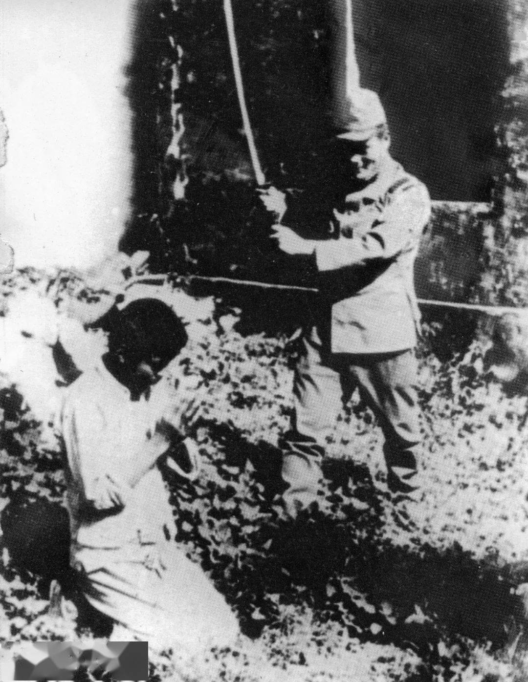 1937南京人口_南京1937女人照片(3)