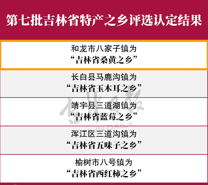 吉林省乡镇gdp_吉林乡镇 三