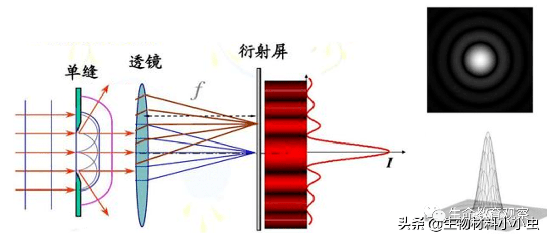 这个过程类似水波经过狭小的缝隙，体现了光的波动性。水波的双缝衍射如