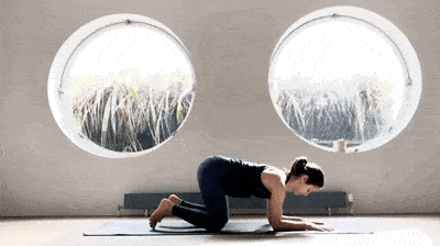 c7338ff712964c18be48f31be57380cd.gif