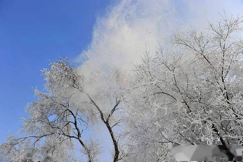 听一曲古琴版《飞雪玉花》琴弦瑟瑟,宛转悠扬