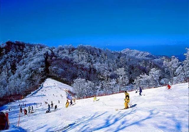 大连林海滑雪场位于大连市甘井子区,占地59余万平方米.