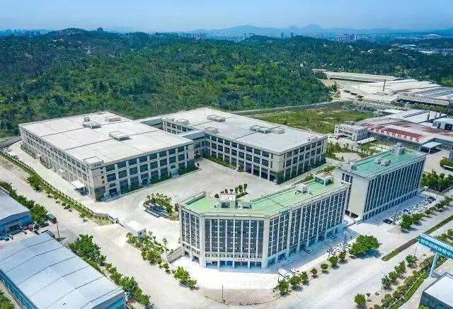 2020体育上市公司排名_王健林2020的落寞:万达体育上市517天即将退市